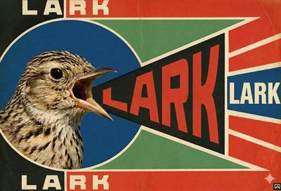 A vintage poster featuring a bird and the word 'LARK' in bold letters.