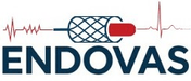 ENDOVAS MEDİKAL