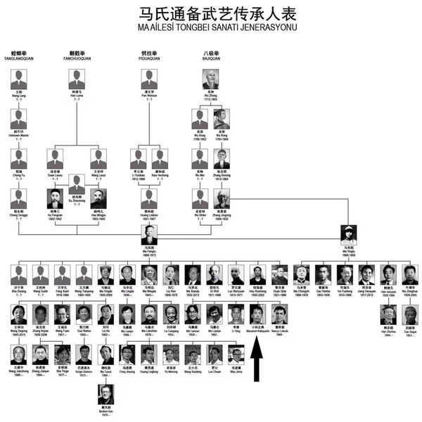 Shihan Kobayashi in the line of his teacher Ma Xianda.

**Chart courtesy of Turktongbei**