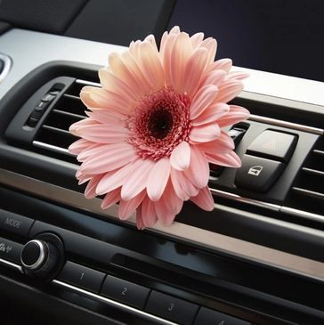 Pink flower in car for fragrance.