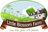 Little Blossom Farm