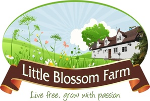 Little Blossom Farm