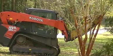 Underbrush Clearing, Land Clearing, Lot Clearing. Fast, affordable land clearing services. 
