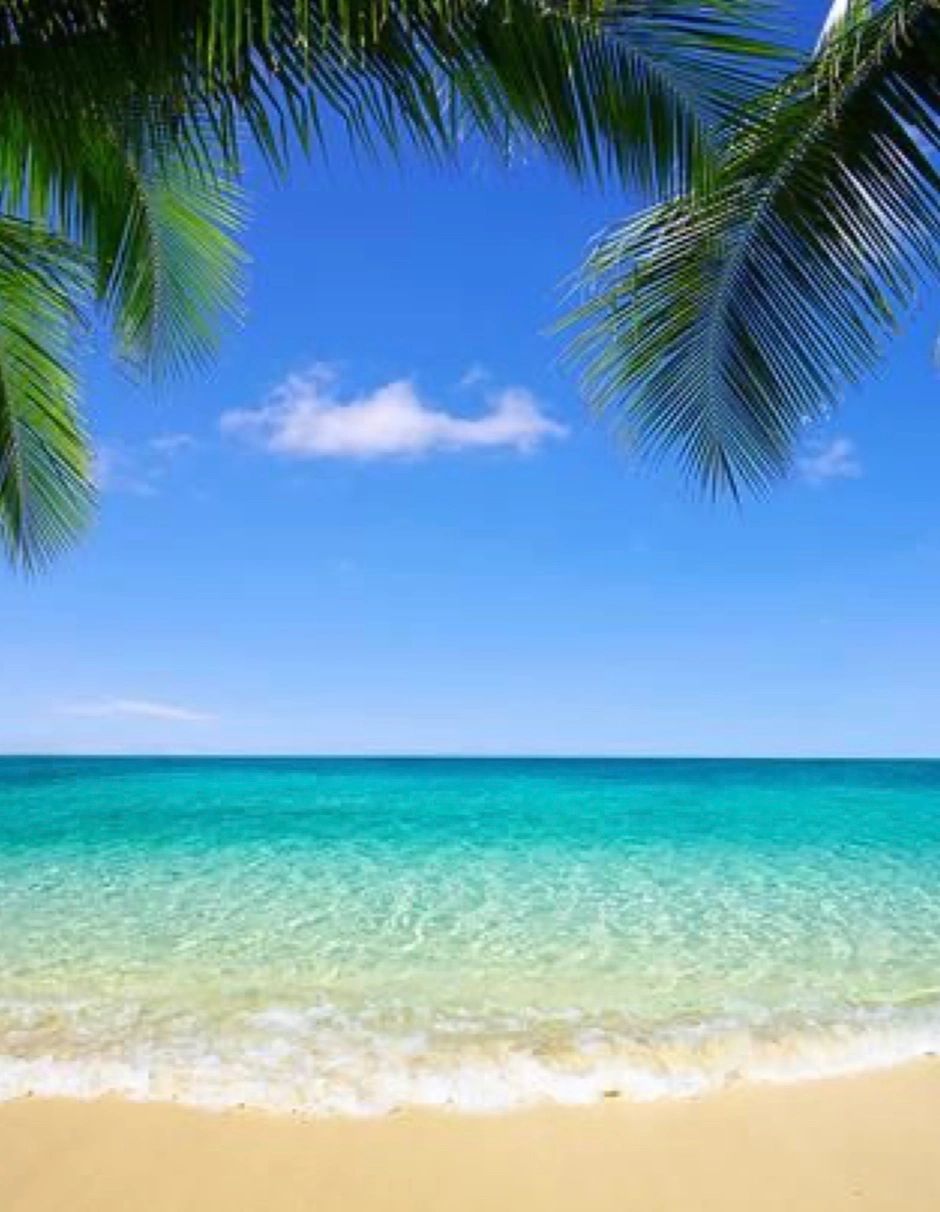 Oceanside Ibogaine Treatment Center 