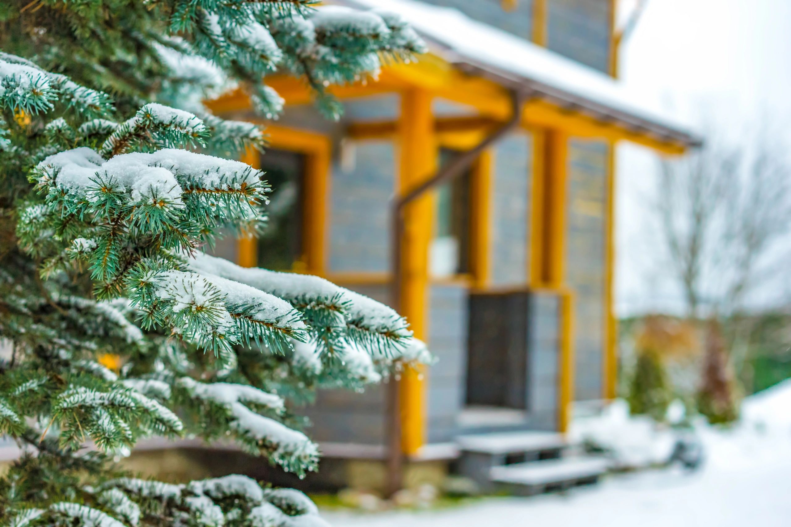 Snow Plowing Forestscapes