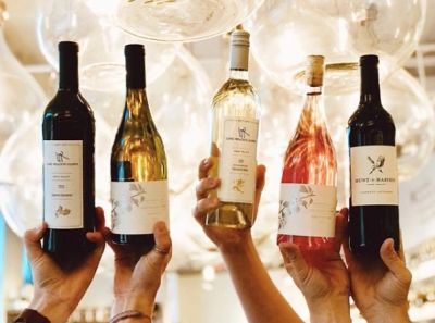 Hands holding up five different bottles of wine with a festive background.