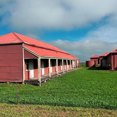 Willandra Homestead, Heritage Conservation 2026