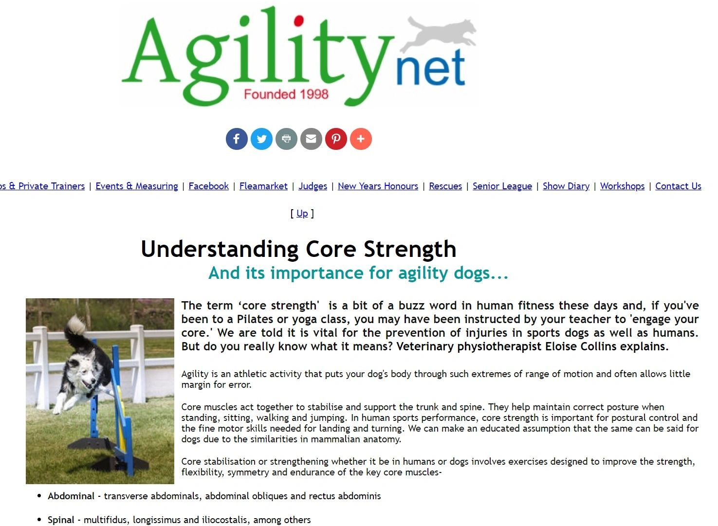 How Does Core Stability Improve Athletic Performance?