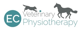 EC Veterinary Physiotherapy