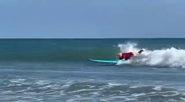 https://img1.wsimg.com/isteam/ip/d9600c13-d1c1-4efe-aee3-b795fb2b25bd/thumbnails/thumbnail-0e4a641a-80b0-4395-95f0-b25fd88516da.png