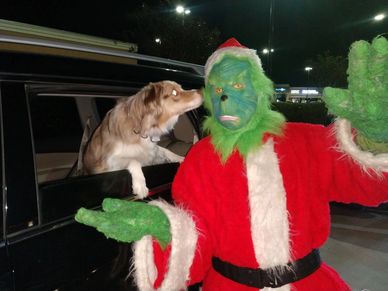 Grinch cosplay holiday character with dog at Chick fila in Katy, Texas drive thru line