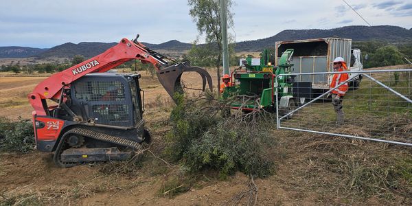 Plant and equipment used to remove trees from job site.