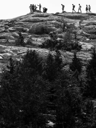 B+W image of a guide leading a team to the top of a mountain