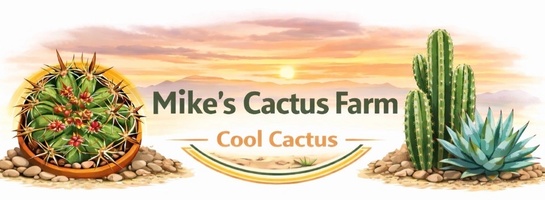 Mike's Cactus