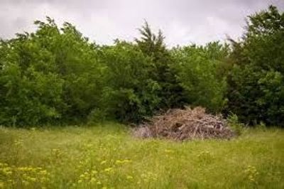 Brush Pile Mulching