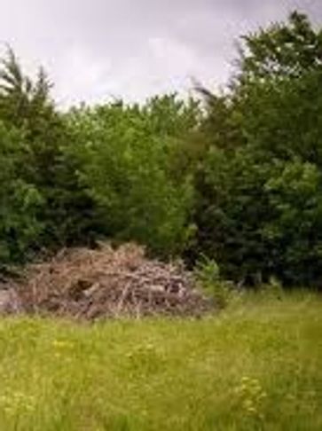 Brush Pile Mulching