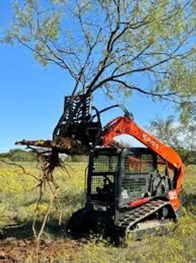 Mesquite Tree Grubbing