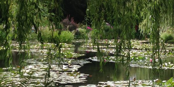Claude Monet in Giverny, house, water garden and flower garden.