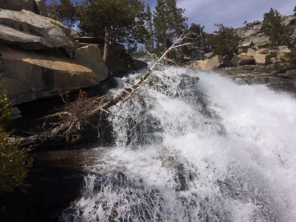 A waterfall cascading over rocks with a fallen tree branch.