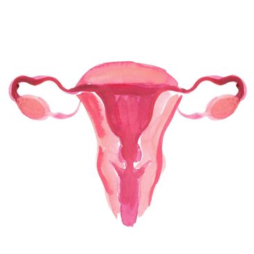Ginecologia, anticoncepcional, DIU, endometrioso, cólica, saude da mulher, ovario policístico