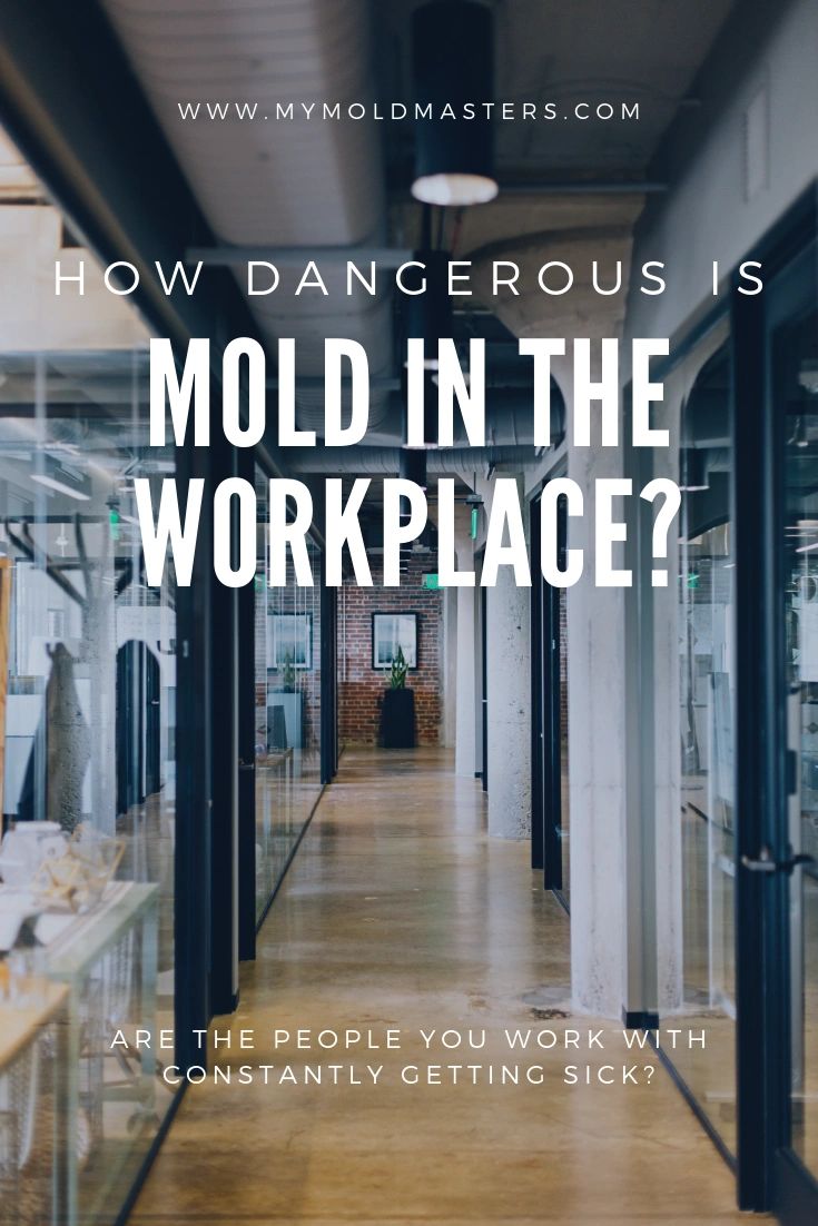 mold in the workspace