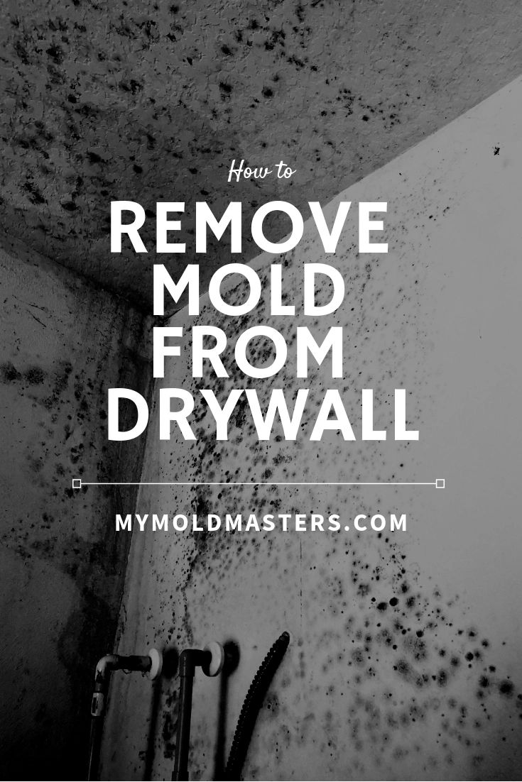 Mold on the drywalll