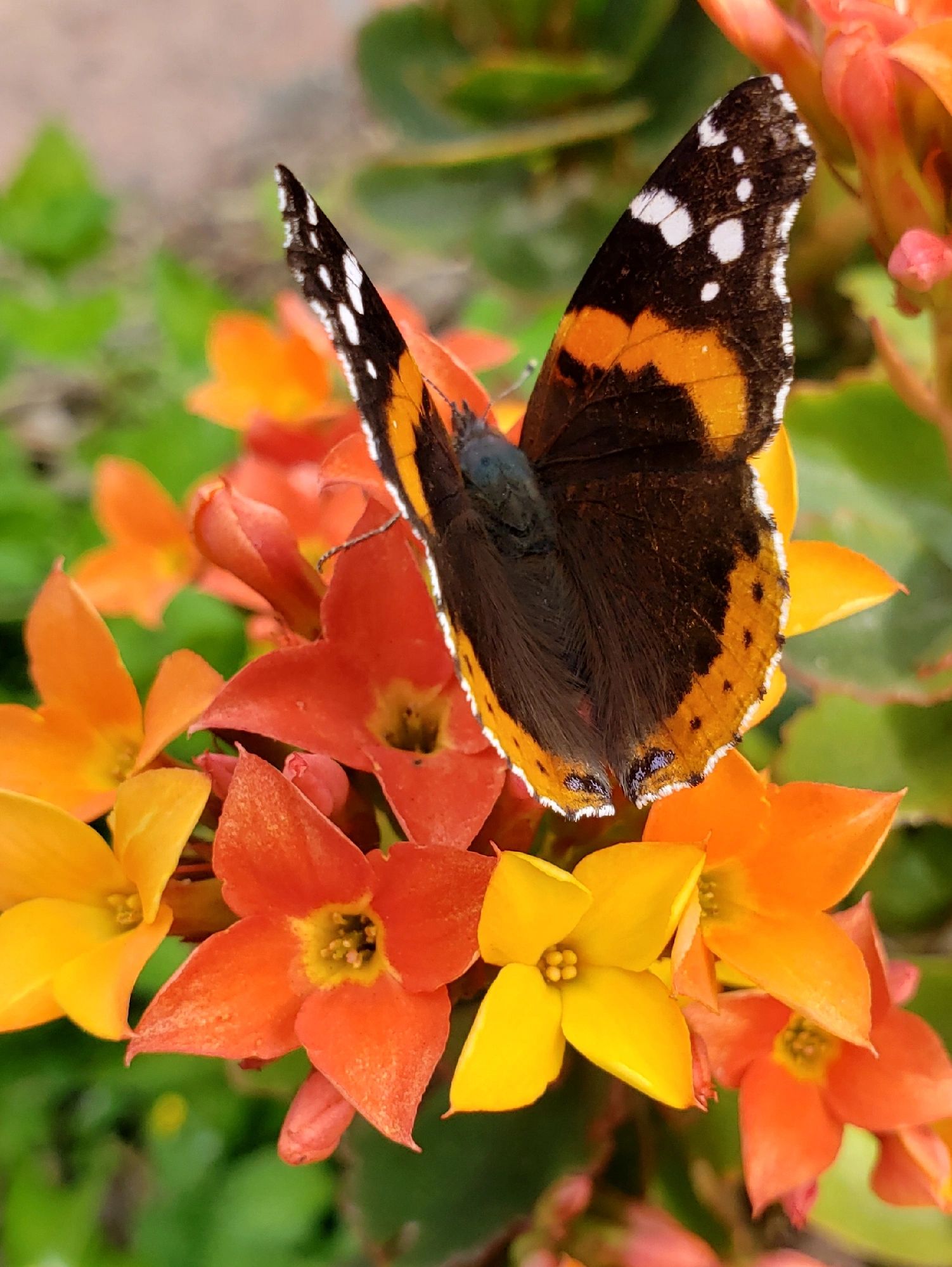 Find A Plant Nursery Near Your Location find-a-plant-nursery-near-your-location