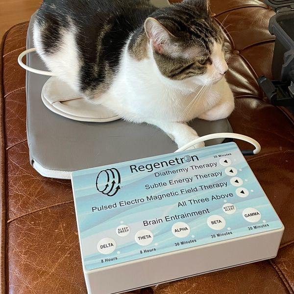 Cats love The Regenetron with PEMF and Brain Entrainment with PEMF Therapy Solutions