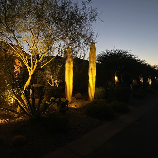 What Is Low Voltage Landscape Lighting and How Does It Work? - Sunrise  Irrigation & Sprinklers