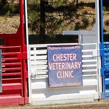 Sign for Chester Veterinary Clinic on a white fence.