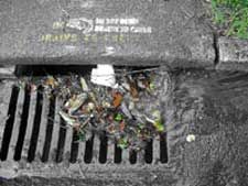 Image of litter clogging street drain