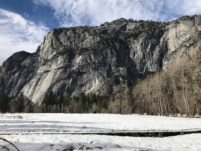 Yosemite National Park.   Picture Credit: Brenda Roush