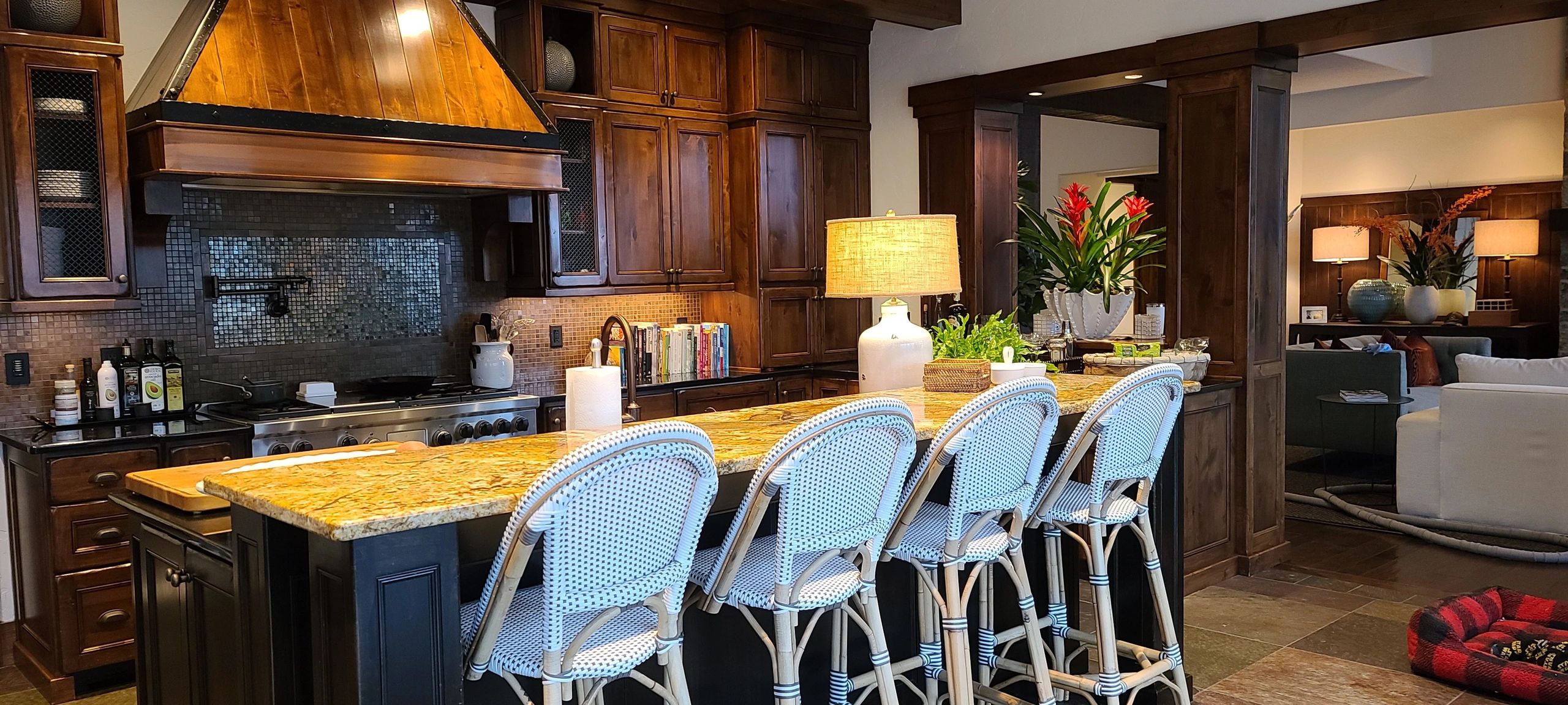 House Cleaning Premier cleaning group