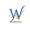 WealthyVine Tax, Immigration & Accounting Services