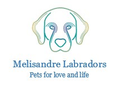 Melisandre Labradors