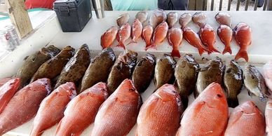 Off shore fishing with Summer Hunter charters. snapper, grouper, sharks and other gulf fish.