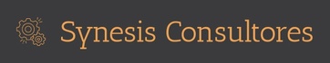 Synesis Consultores