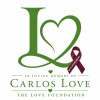 Love foundation 
