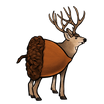 DEERNUT