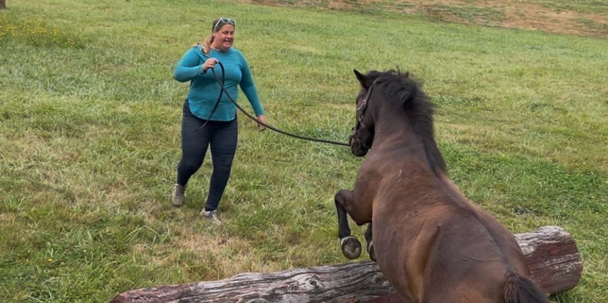 Woman training a horse to jump over a log in a field.