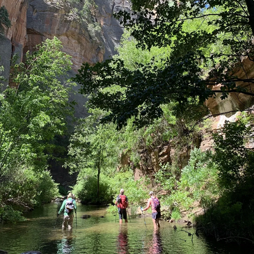 West Fork Oak Creek Canyon