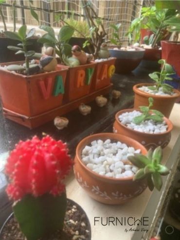 A shot from my little garden.
Loving the Succulents & indoor plants.