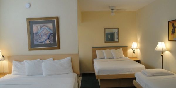 Island House South Beach Hotel — photo 7 of 23