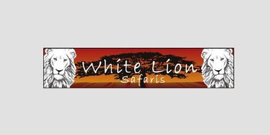 white lion