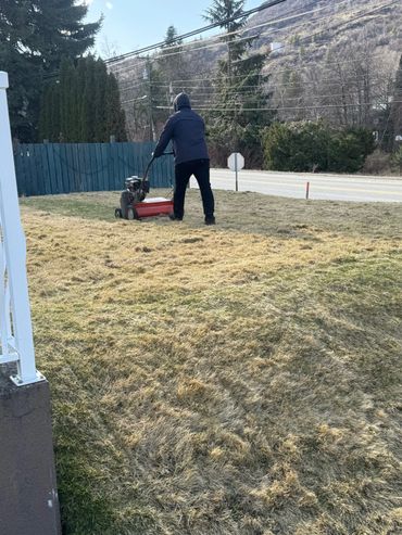 Lawn Dethatching 