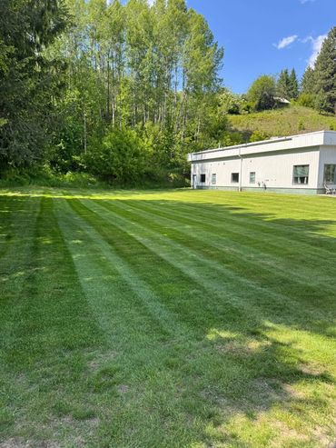 Beautiful front yard garden featuring fresh green grass