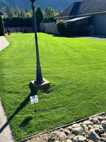 A clients recently fertilized and weed control sprayed lawn