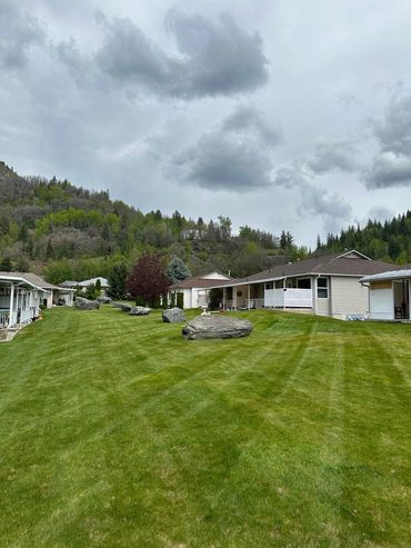 Home exterior garden showcasing vibrant green lawn