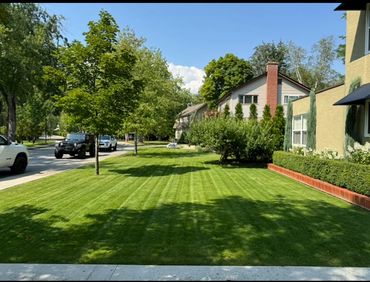 Front home garden with lush green grass and landscaped lawn