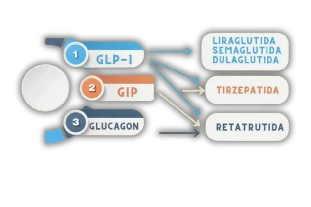 are tirzepatide and semaglutide the same Semaglutide vs Tirzepatide: Which Leads to More Weight Loss? are tirzepatide and semaglutide the same Semaglutide vs Tirzepatide: Which Leads to More Weight Loss?